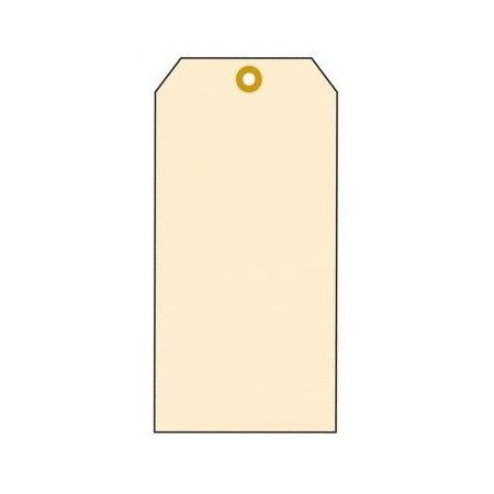 Accuform MANILA BLANK CARDSTOCK 2 34 X 1 TBB111P TBB111P